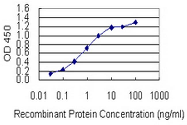 SYT13 Antibody in ELISA (ELISA)