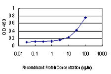 TRIB3 Antibody in ELISA (ELISA)