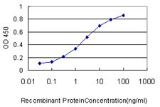 HAMP Antibody in ELISA (ELISA)