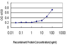 LGR7 Antibody in ELISA (ELISA)