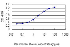 SAV1 Antibody in ELISA (ELISA)