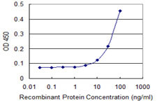 SEMA4A Antibody in ELISA (ELISA)