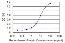 ROBO3 Antibody in ELISA (ELISA)