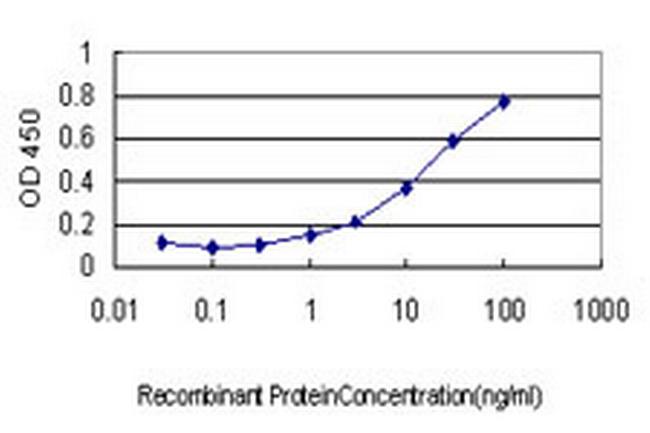 RAB17 Antibody in ELISA (ELISA)