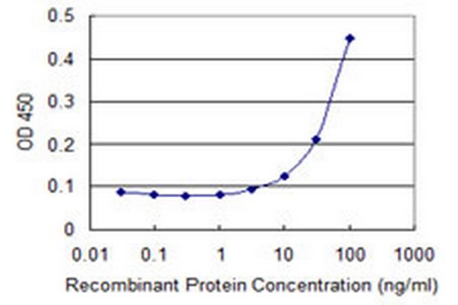 MPP5 Antibody in ELISA (ELISA)