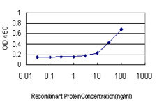 HHIP Antibody in ELISA (ELISA)