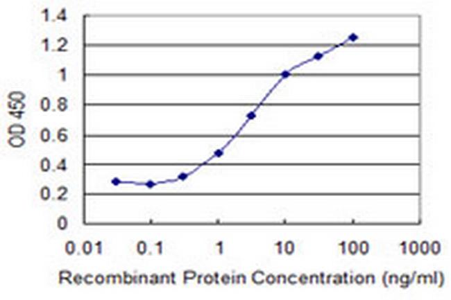 RBM15 Antibody in ELISA (ELISA)