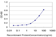 LASS4 Antibody in ELISA (ELISA)