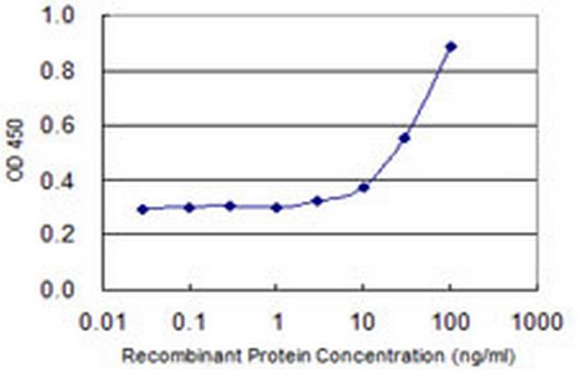 ZFHX4 Antibody in ELISA (ELISA)