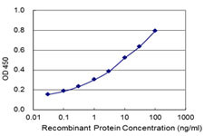 SHCBP1 Antibody in ELISA (ELISA)