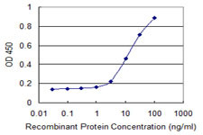 HKDC1 Antibody in ELISA (ELISA)