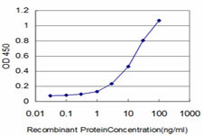 COASY Antibody in ELISA (ELISA)