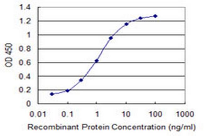 SLC19A3 Antibody in ELISA (ELISA)