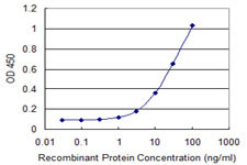 ITCH Antibody in ELISA (ELISA)