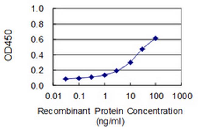 OBSCN Antibody in ELISA (ELISA)