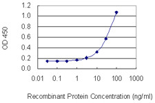 DTNBP1 Antibody in ELISA (ELISA)