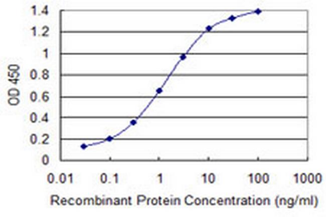 TKTL2 Antibody in ELISA (ELISA)