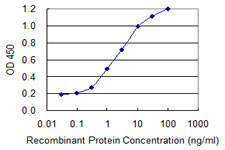 PPP1R1B Antibody in ELISA (ELISA)