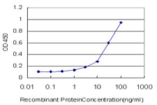 MAP1LC3A Antibody in ELISA (ELISA)