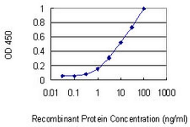 SIGLEC10 Antibody in ELISA (ELISA)