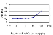 LHX4 Antibody in ELISA (ELISA)