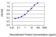 C14ORF143 Antibody in ELISA (ELISA)