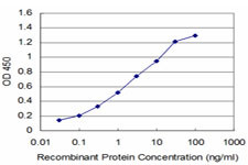 NALP12 Antibody in ELISA (ELISA)