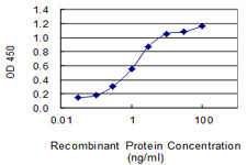 CHRDL1 Antibody in ELISA (ELISA)