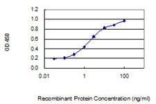 ZC3HAV1L Antibody in ELISA (ELISA)