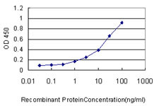 DC-UBP Antibody in ELISA (ELISA)