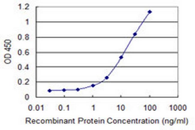 RAB3C Antibody in ELISA (ELISA)