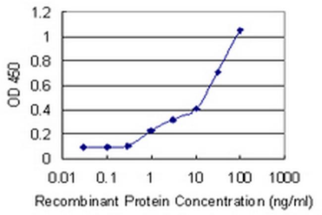 RAB39B Antibody in ELISA (ELISA)