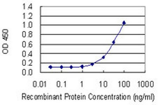 MIA2 Antibody in ELISA (ELISA)