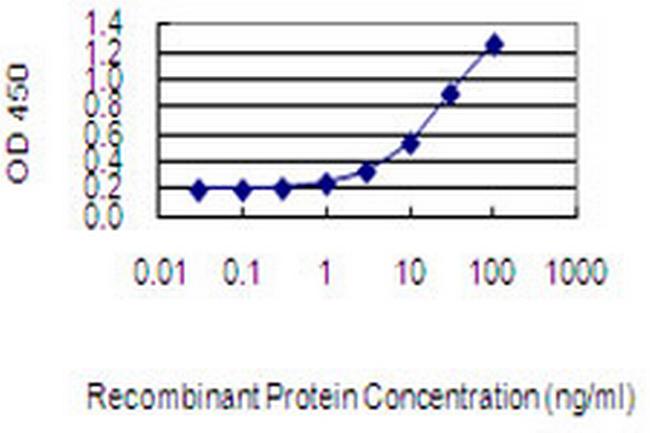 MMP21 Antibody in ELISA (ELISA)