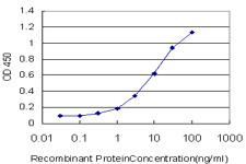 LRRK2 Antibody in ELISA (ELISA)