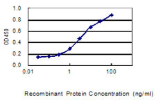 IKIP Antibody in ELISA (ELISA)