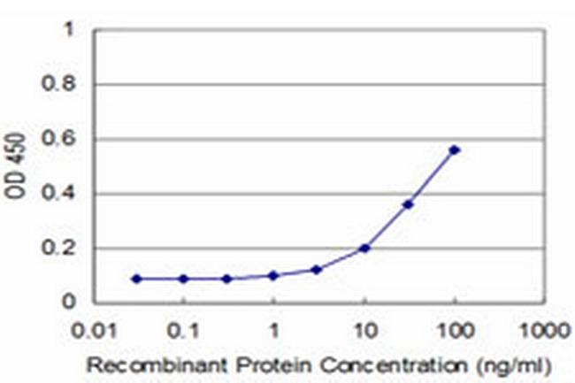 OSR1 Antibody in ELISA (ELISA)