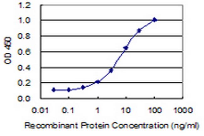 DGKK Antibody in ELISA (ELISA)