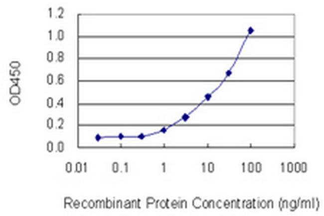 DYNLL2 Antibody in ELISA (ELISA)