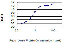 RNF168 Antibody in ELISA (ELISA)