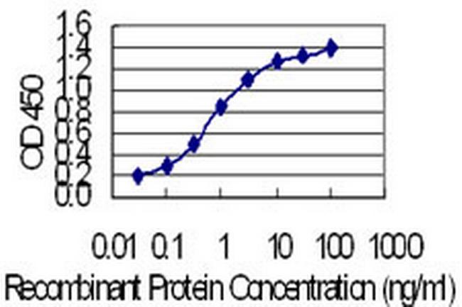 KRT24 Antibody in ELISA (ELISA)