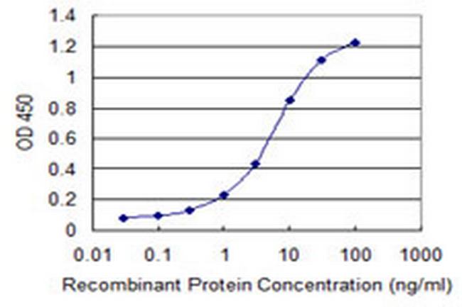 HIPK1 Antibody in ELISA (ELISA)