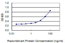 WDR27 Antibody in ELISA (ELISA)