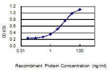 VSTM1 Antibody in ELISA (ELISA)