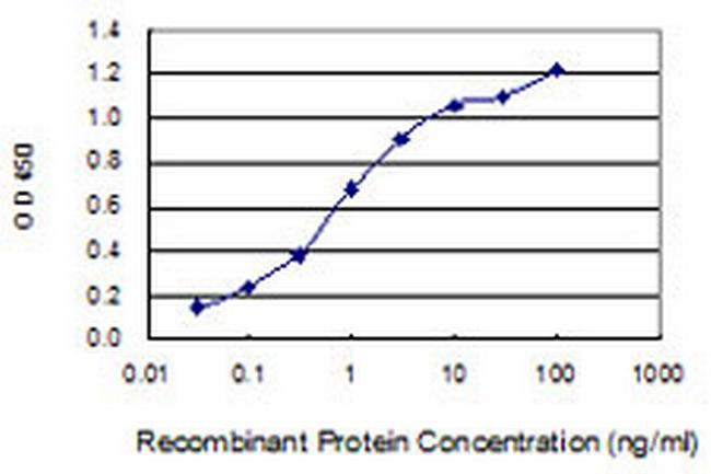 SLC35B2 Antibody in ELISA (ELISA)