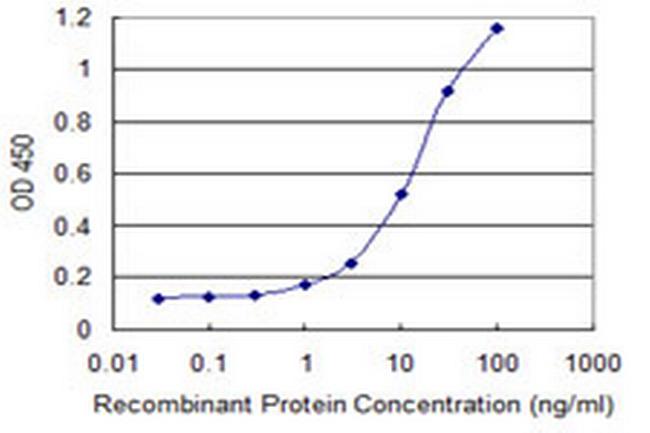 MAP3K15 Antibody in ELISA (ELISA)