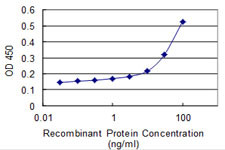 EID3 Antibody in ELISA (ELISA)