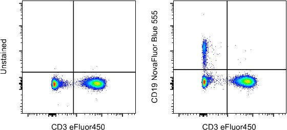 CD19 Antibody in Flow Cytometry (Flow)