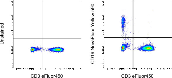 CD19 Antibody in Flow Cytometry (Flow)