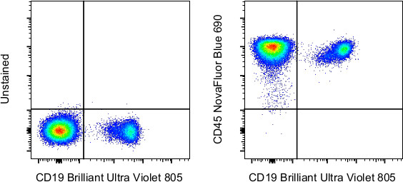 CD45 Antibody in Flow Cytometry (Flow)